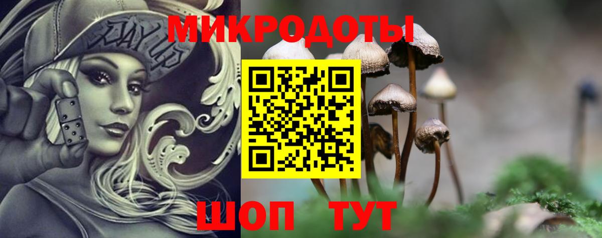 Ачинск  Галлюциногенные грибы Psilocybine cubensis  Вход с VPN 